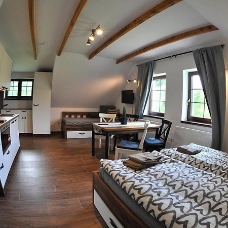 Apartmany U Fibichu Orlicke Zahori ภายนอก รูปภาพ
